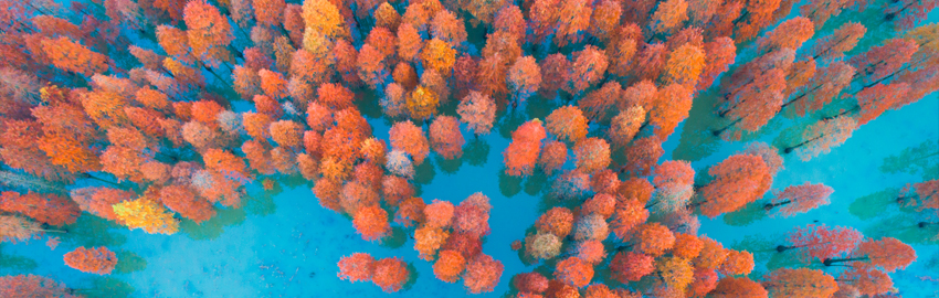 Cyber October 2025 – Good News Tempered by a Dynamic Threat Environment for Professional Service Firms