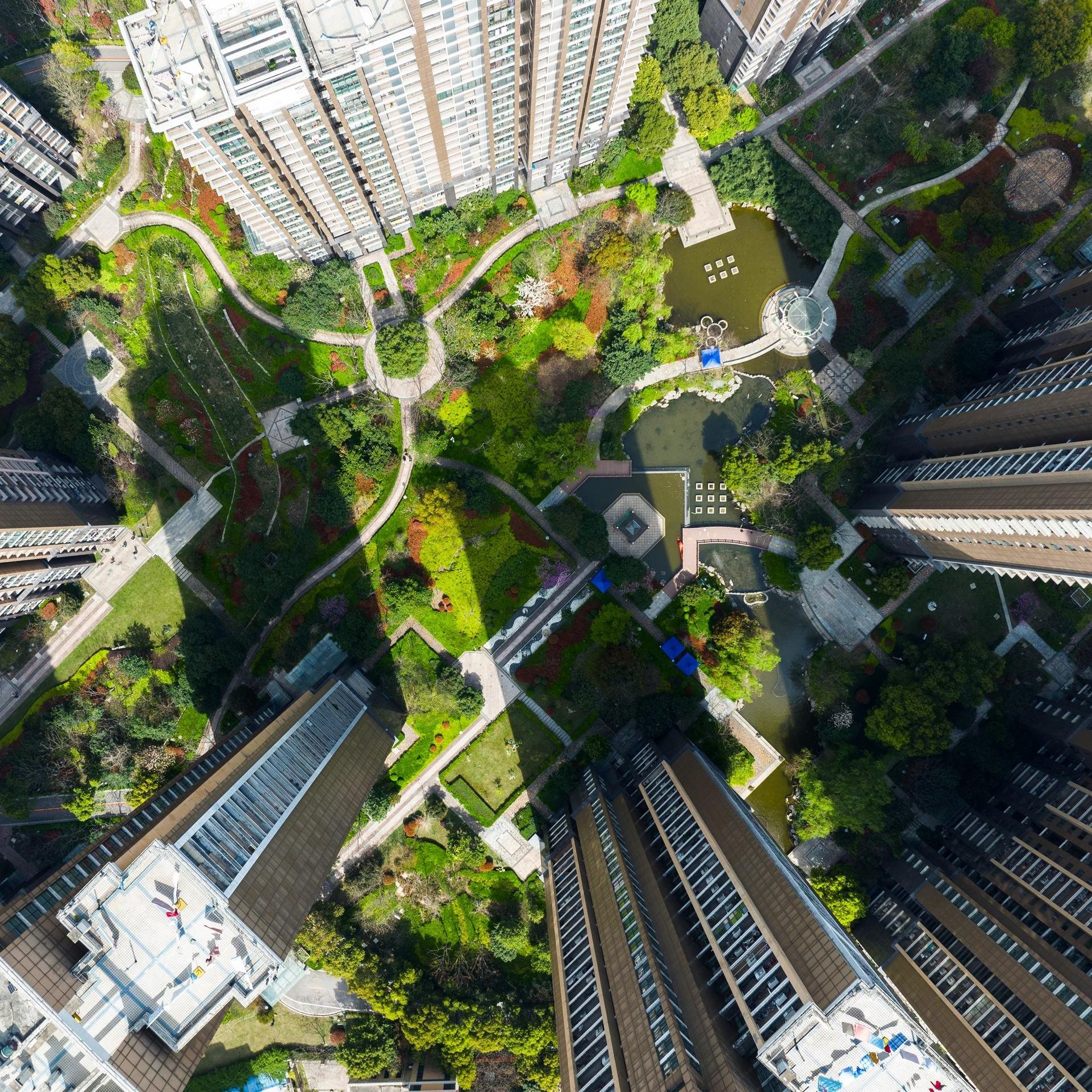 Home & Auto Referral