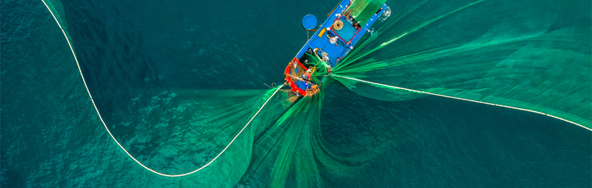 Professional Service Firms in 2025 and Some Thoughts on the Future