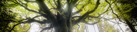 Aon Hewitt Top Companies for Leaders® Contact Us