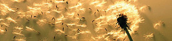 Legislative News Archive