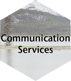 Communication Services