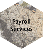 Payroll Services