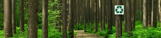 Responsabilidad Social