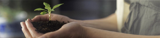 Corporate Citizenship