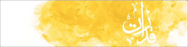 Wave II findings & recommendations