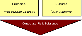Corporate Risk Tolerance