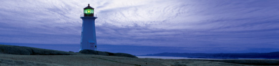 Professional services