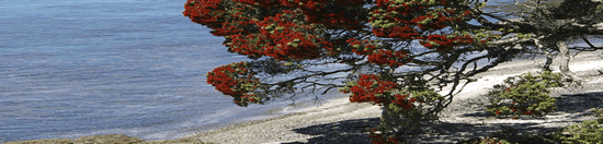 Products and Services