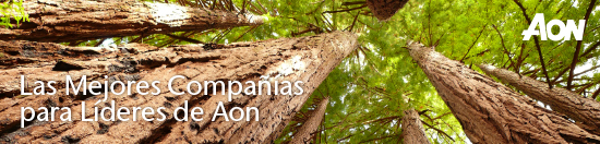 Top Companies for Leaders