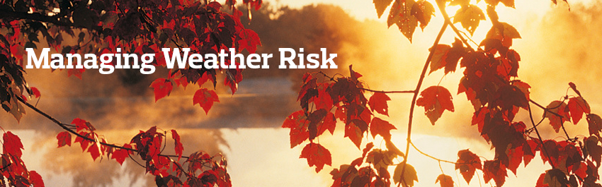 Managing Weather Risk