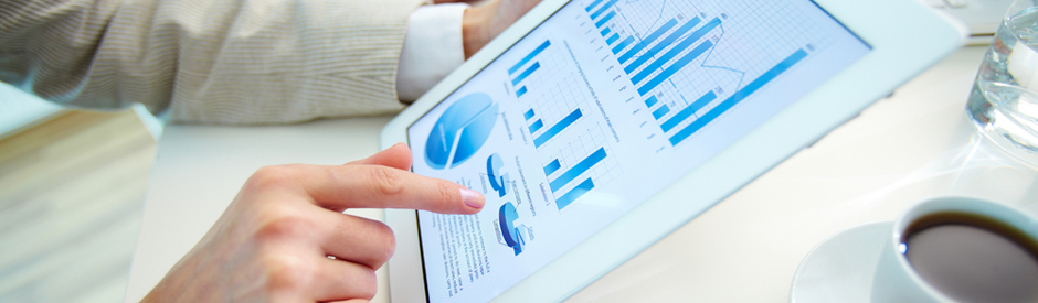 EMEA Salary Increase Survey - Winter Update 2013