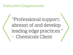 Professional support; abreast of and develop leading edge practices - Chemicals Client