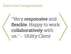 Very responsive and flexible. Happy to work collaboratively with us - Utility Client
