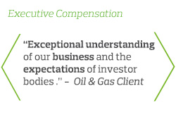 Exceptional understanding of our business and the expectations of investor bodies - Oil & Gas Client