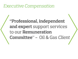 Professional, independent and expert support services to our Remuneration Committee - Oil & Gas Client