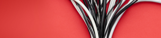 2012 Corporate Governance of Global Employee Benefits Study